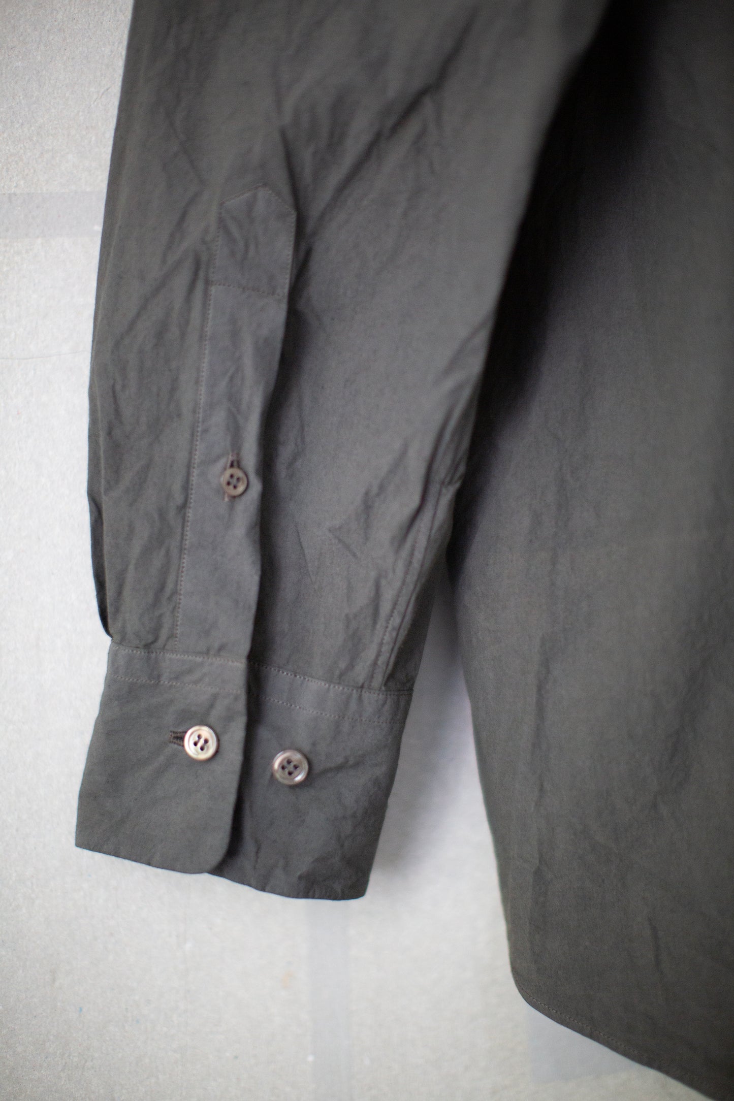 Regular Collar Shirt in Zakuro