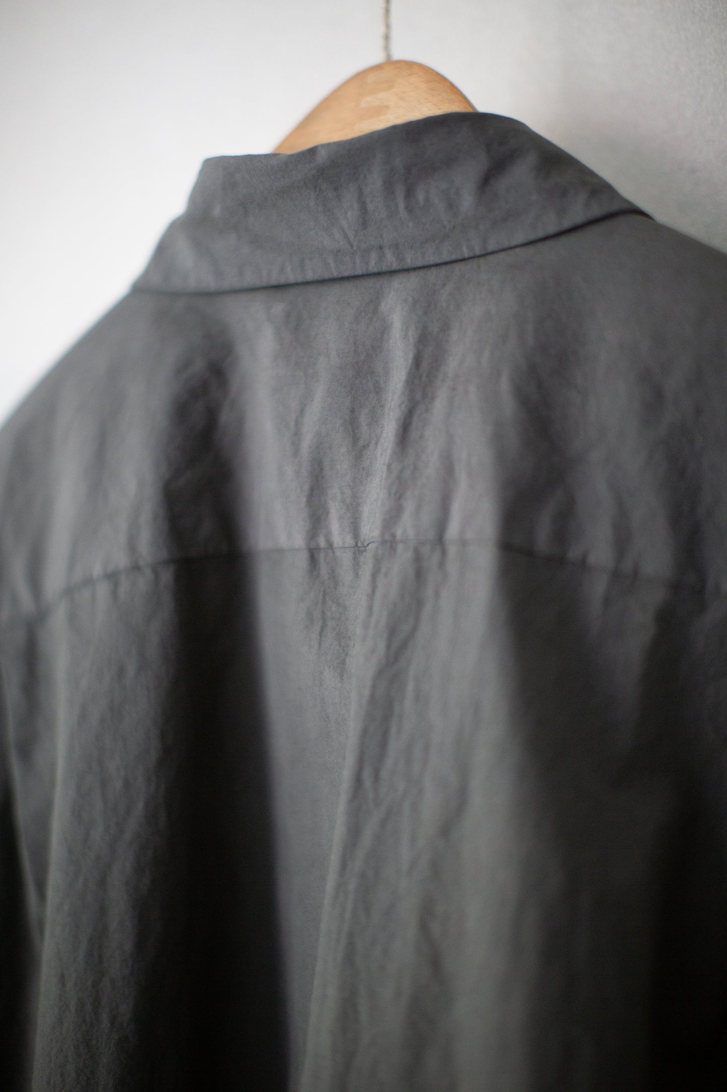 Regular Collar Shirt in Zakuro