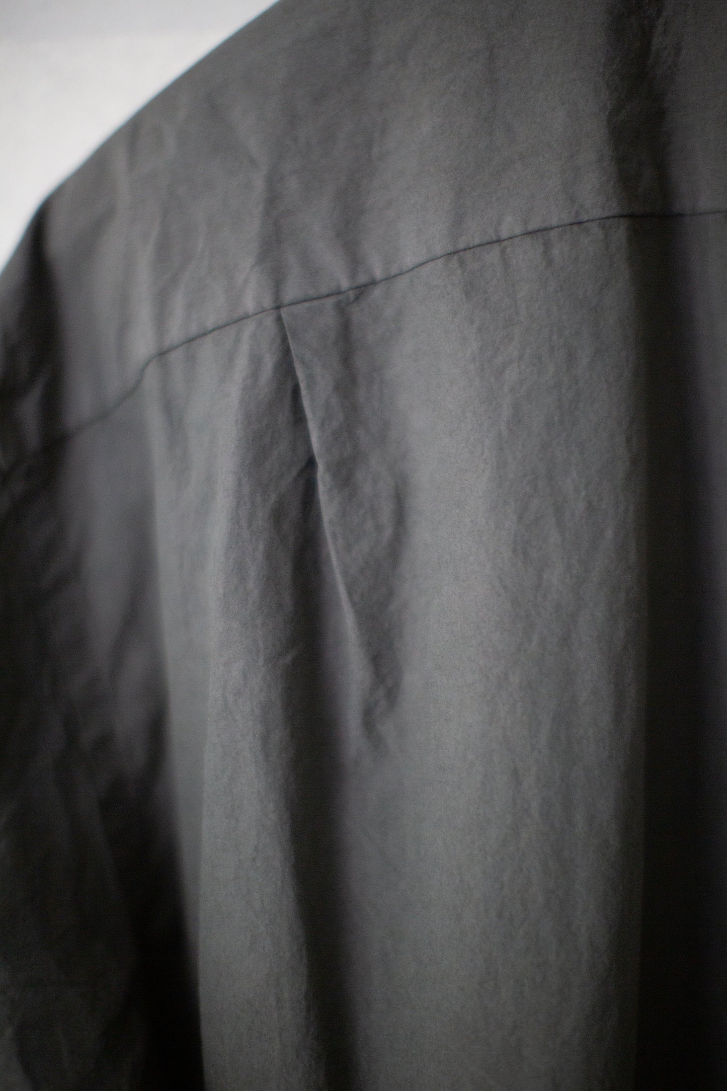 Regular Collar Shirt in Zakuro