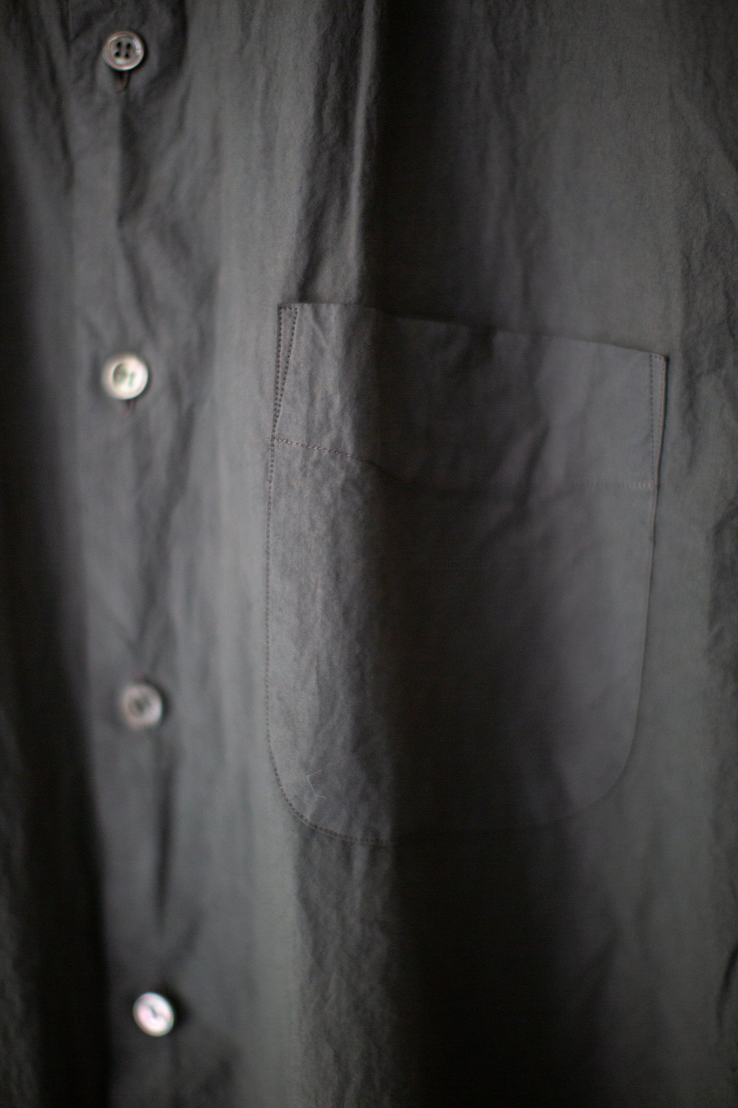 Regular Collar Shirt in Zakuro