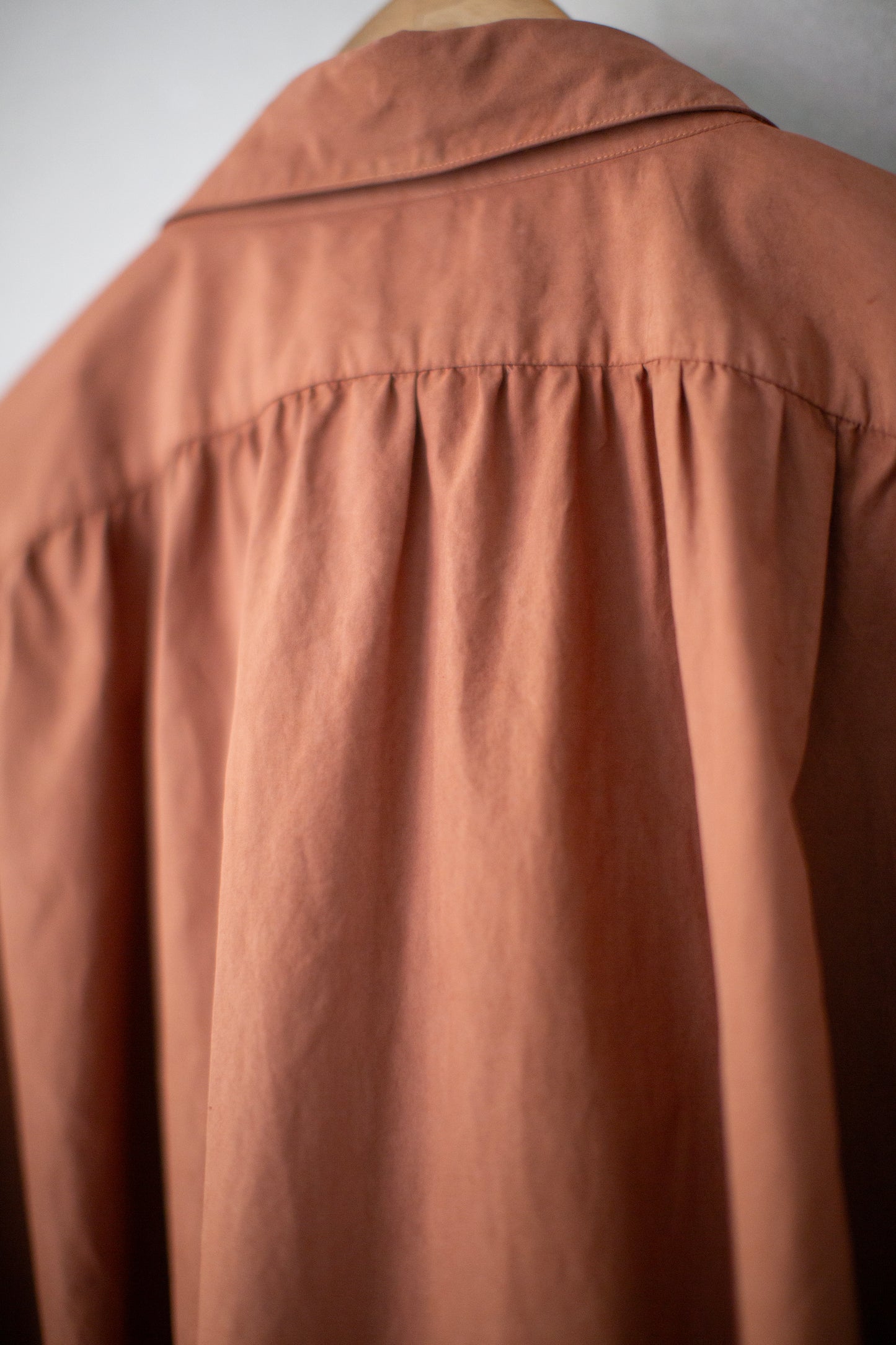 Dress Shirt in Teichigi Wood