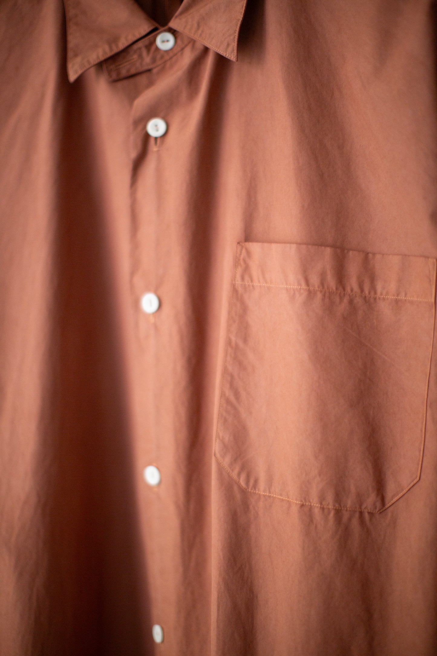 Dress Shirt in Teichigi Wood