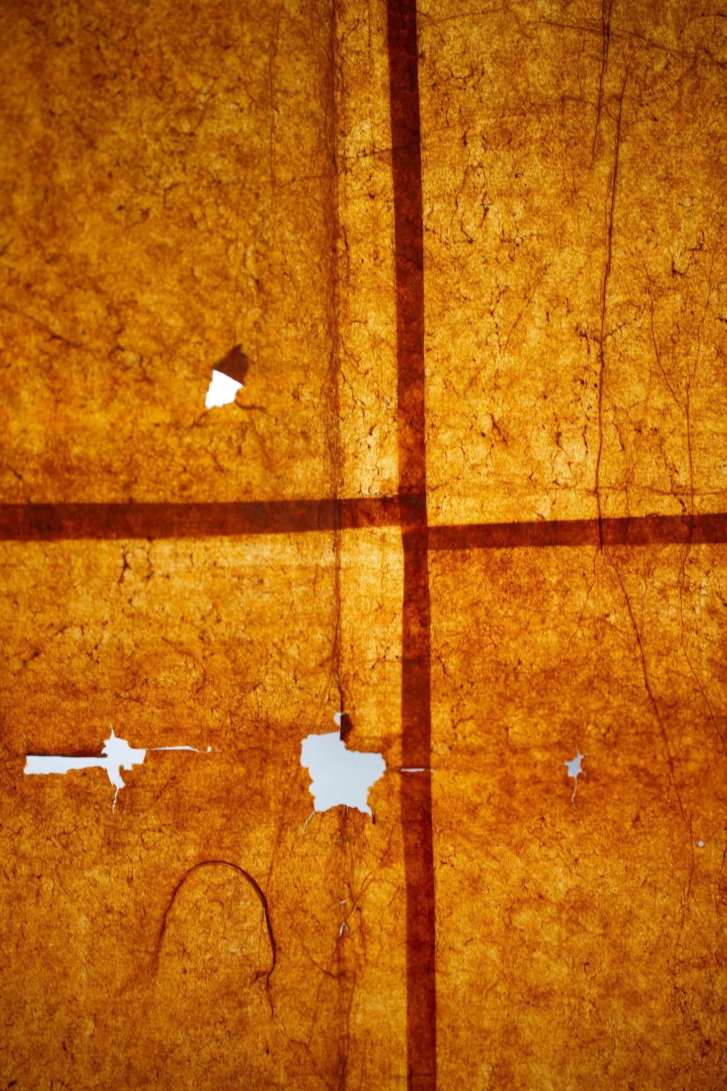 kakishibu dyed paper