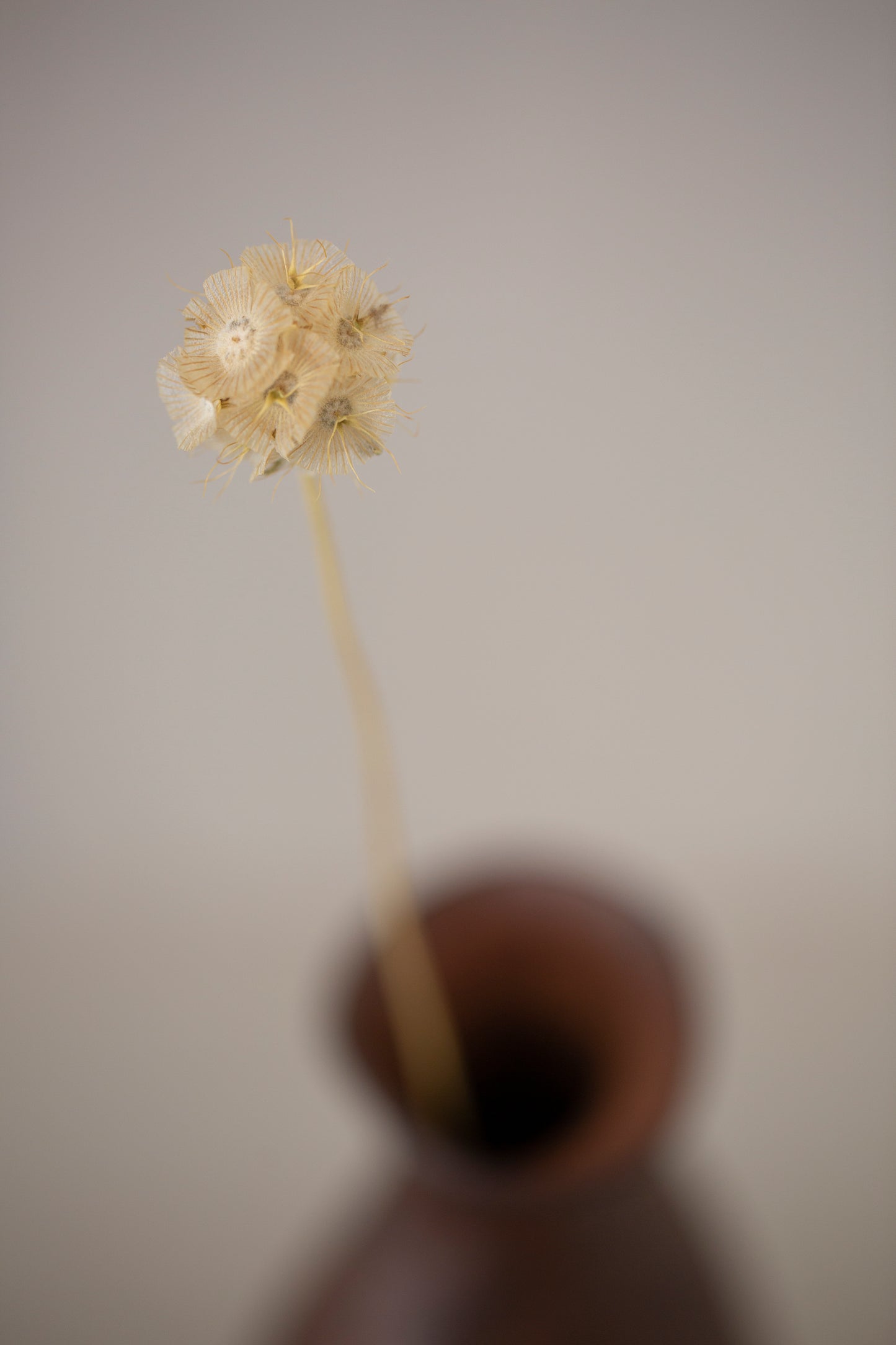 Hand crafted leather vase