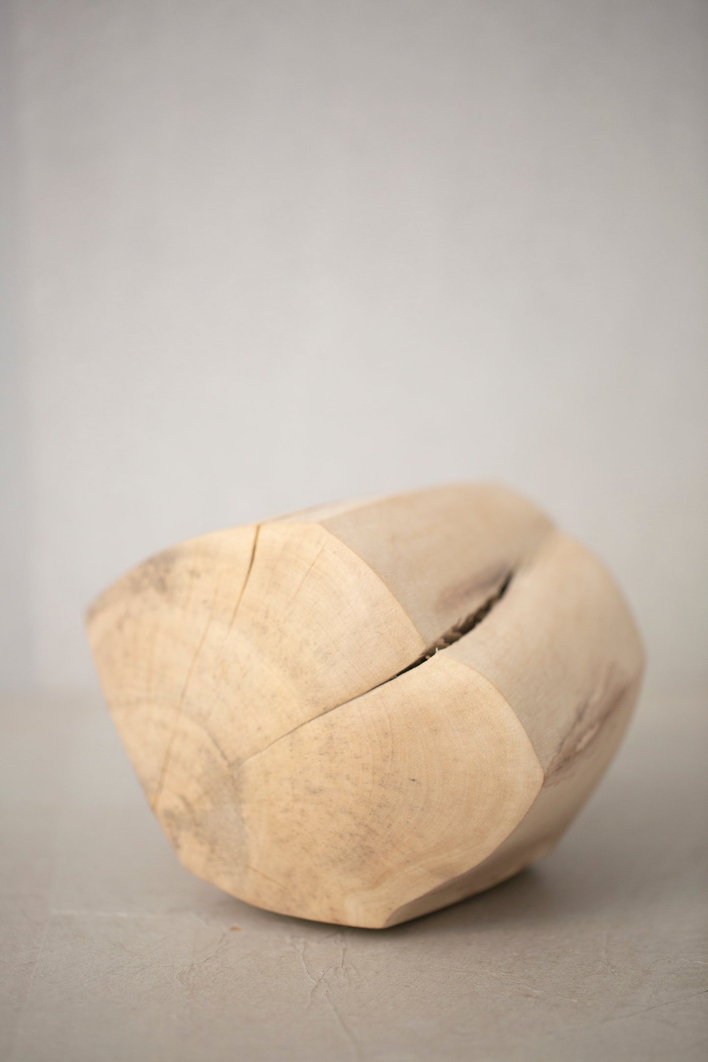 Wooden Sculpture#5