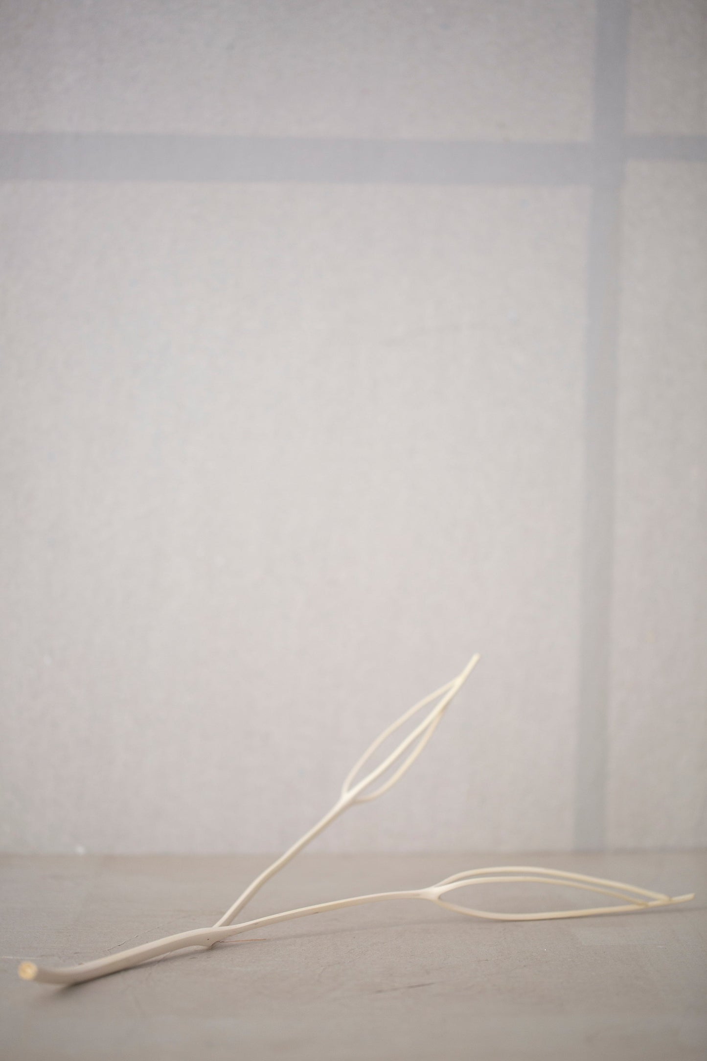 A branch