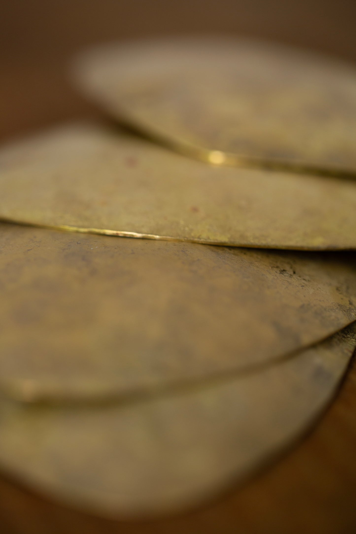 Ryo Watanabe small brass plates/trays