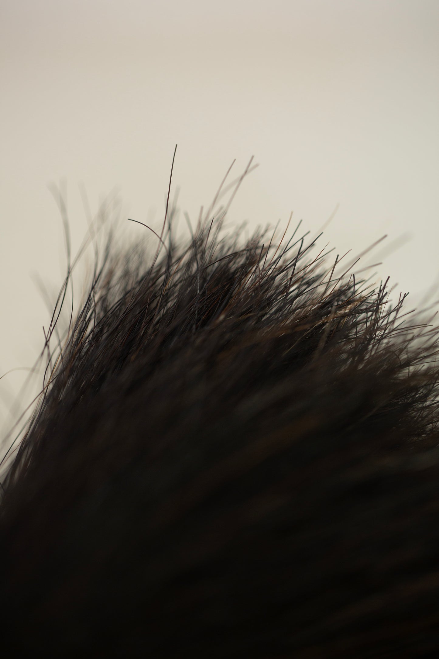 Ring-shaped Horsehair Brush by qiqi:qiqi