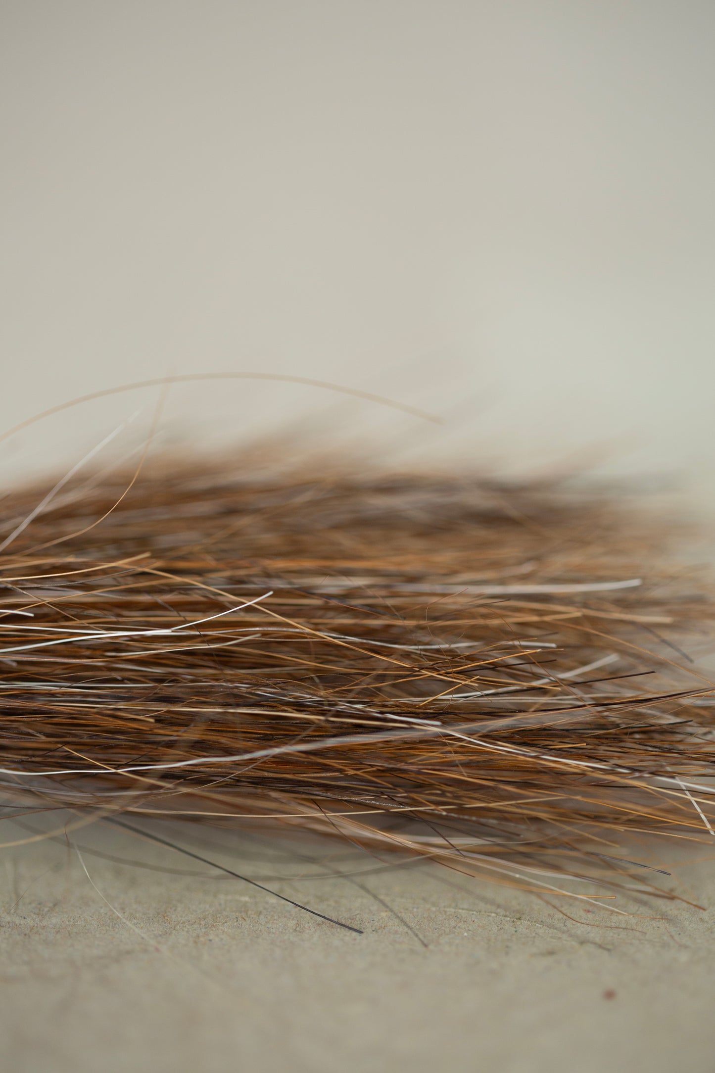 Swing Horsehair Brush by qiqi:qiqi