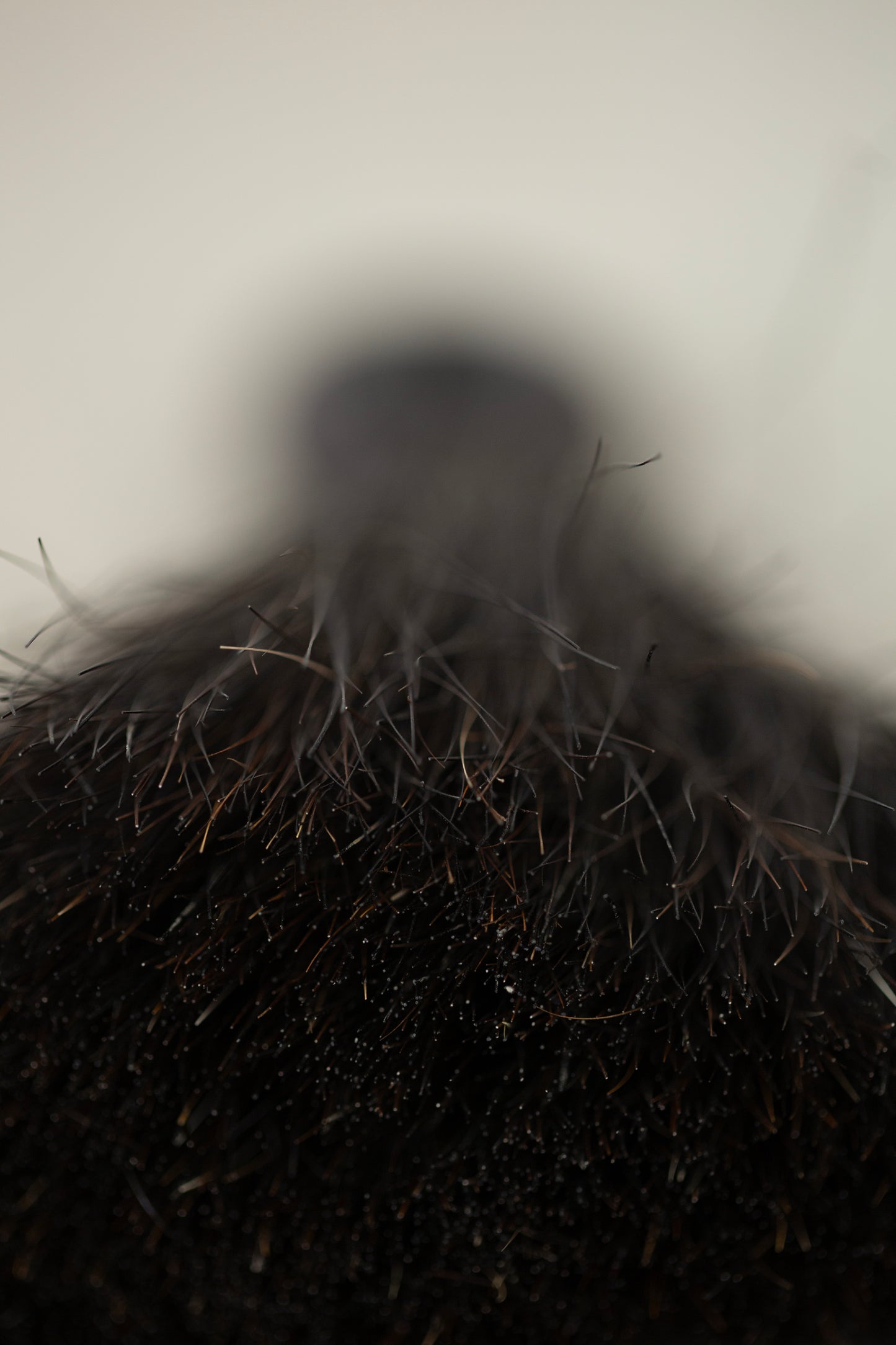 Ring-shaped Horsehair Brush by qiqi:qiqi