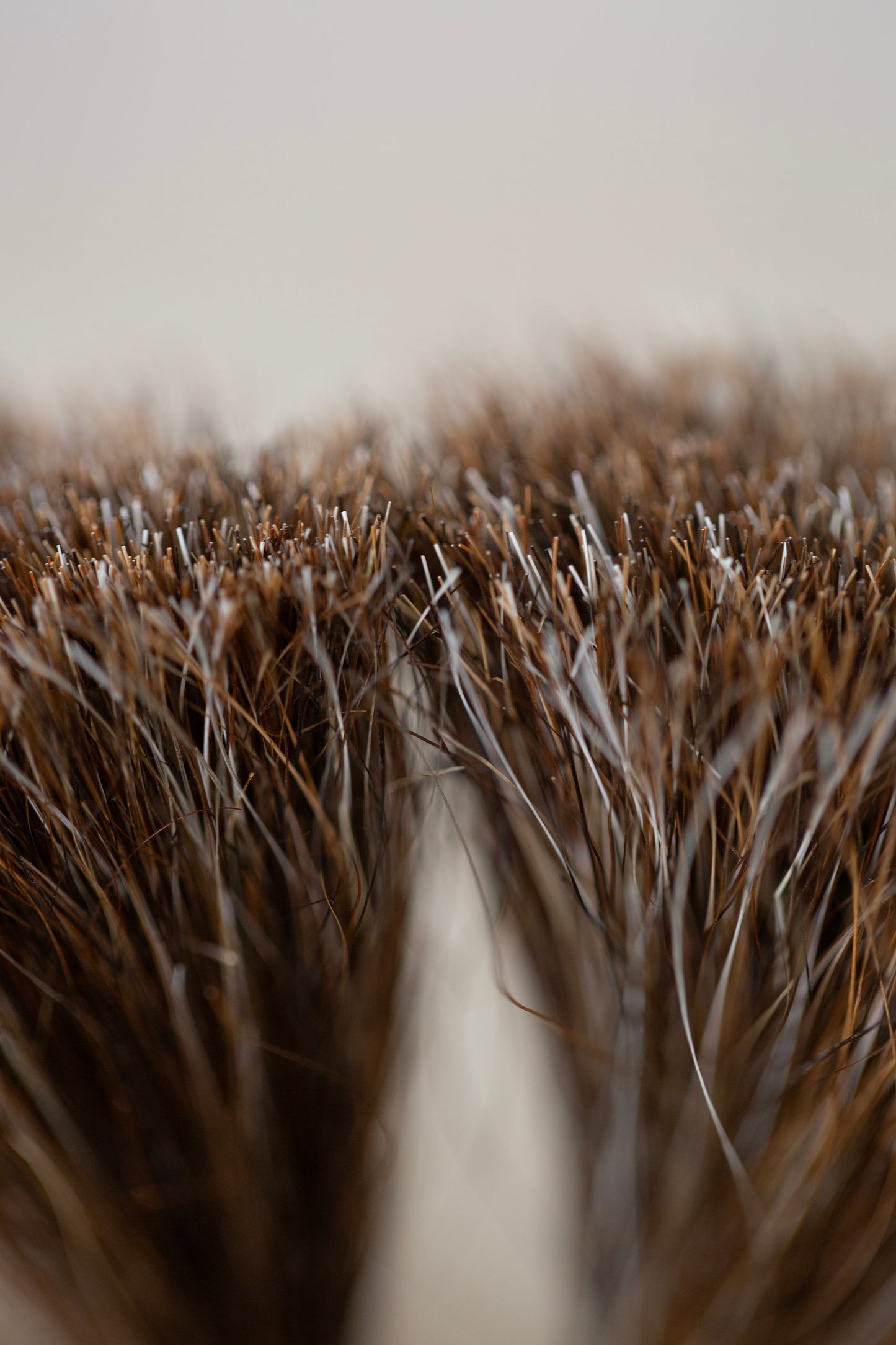 Skirt Horsehair Brush by qiqi:qiqi
