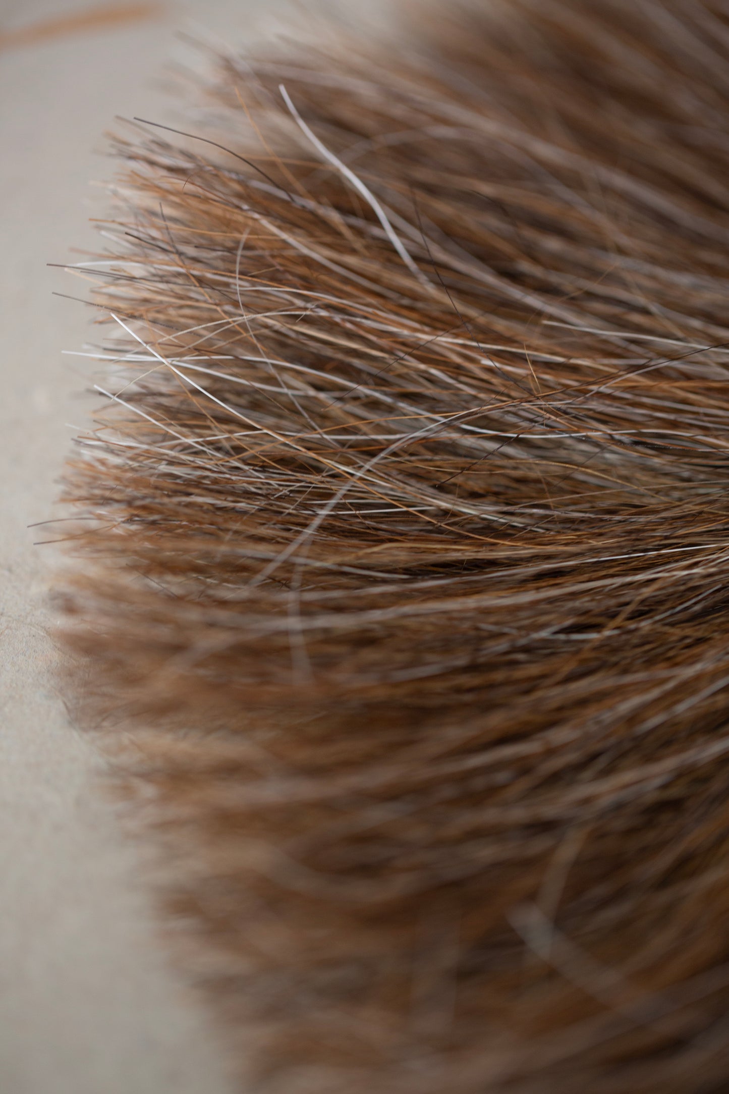 Skirt Horsehair Brush by qiqi:qiqi