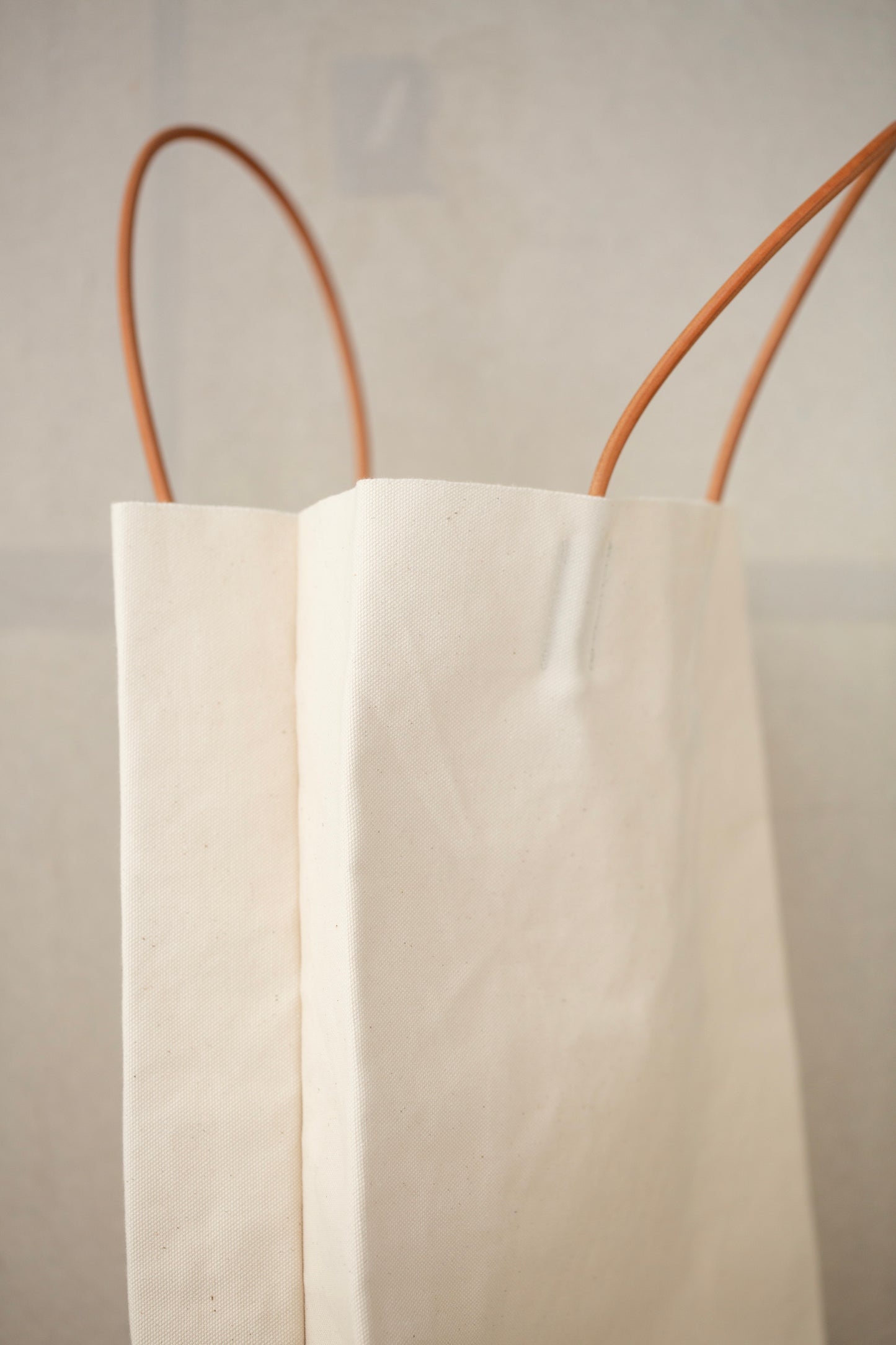 Undyed Canvas Paper Bag