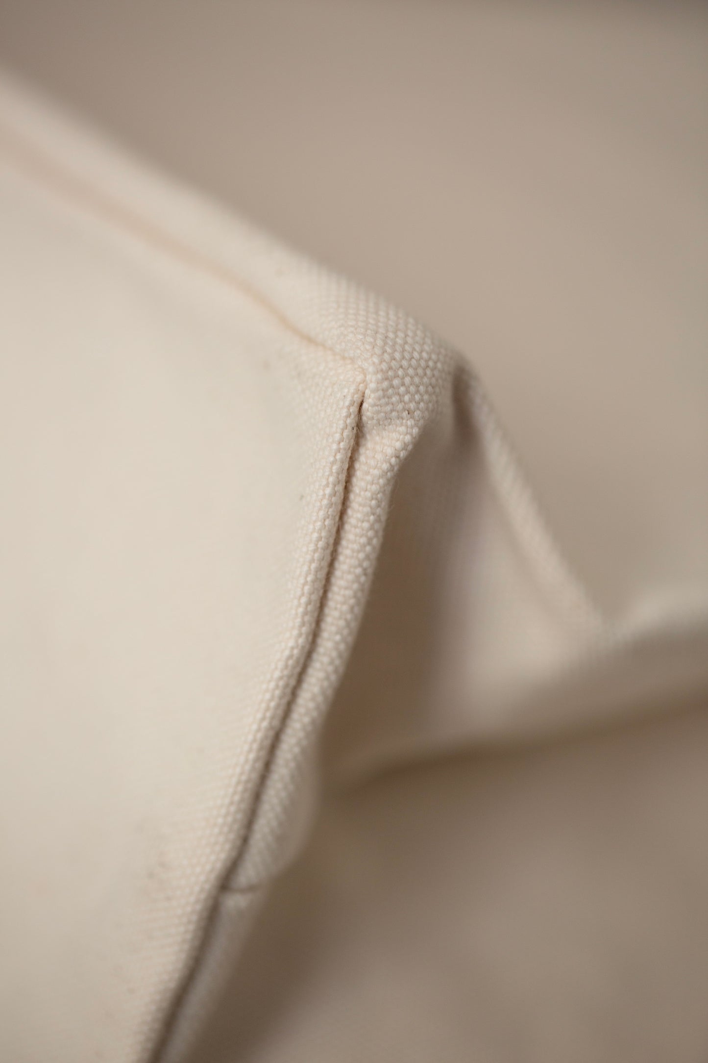 Undyed Canvas Paper Bag