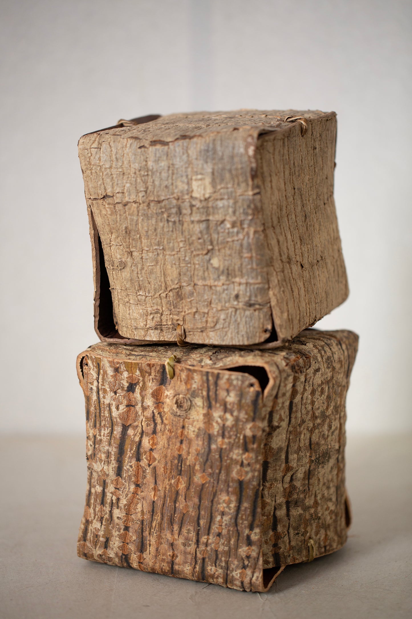 Japanese red vein maple tree bark cube sculpture