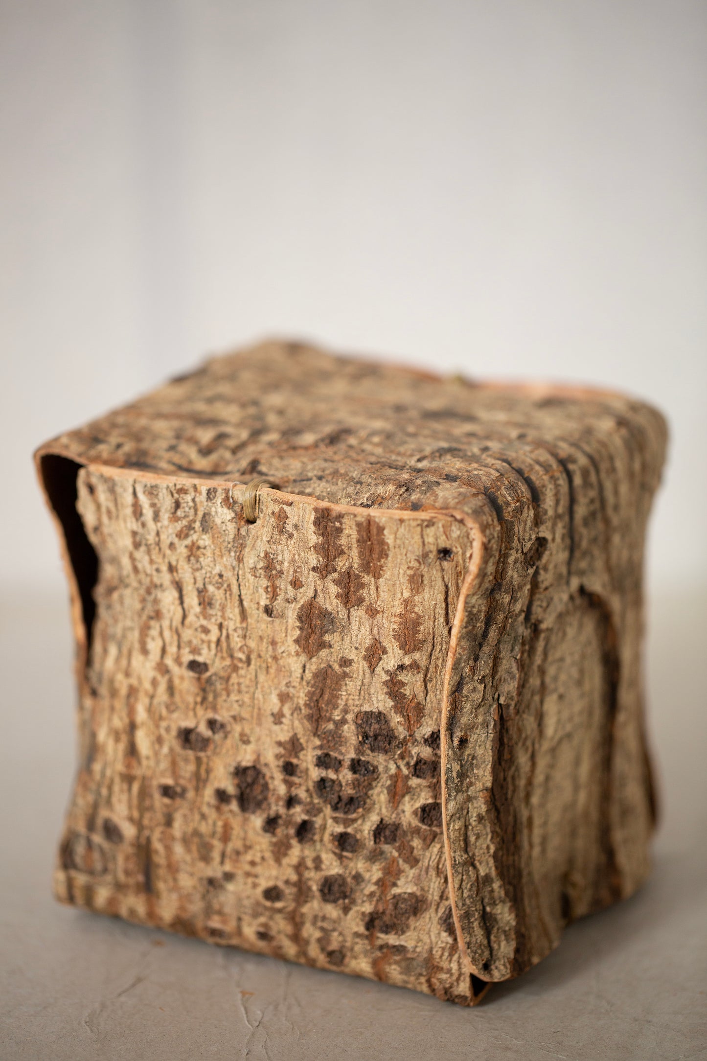 Japanese red vein maple tree bark cube sculpture