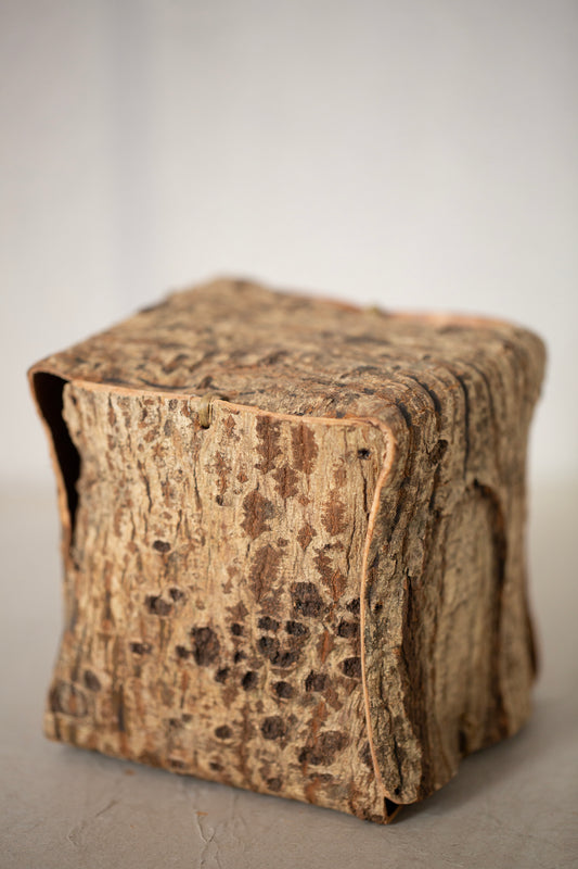 Japanese red vein maple tree bark cube sculpture