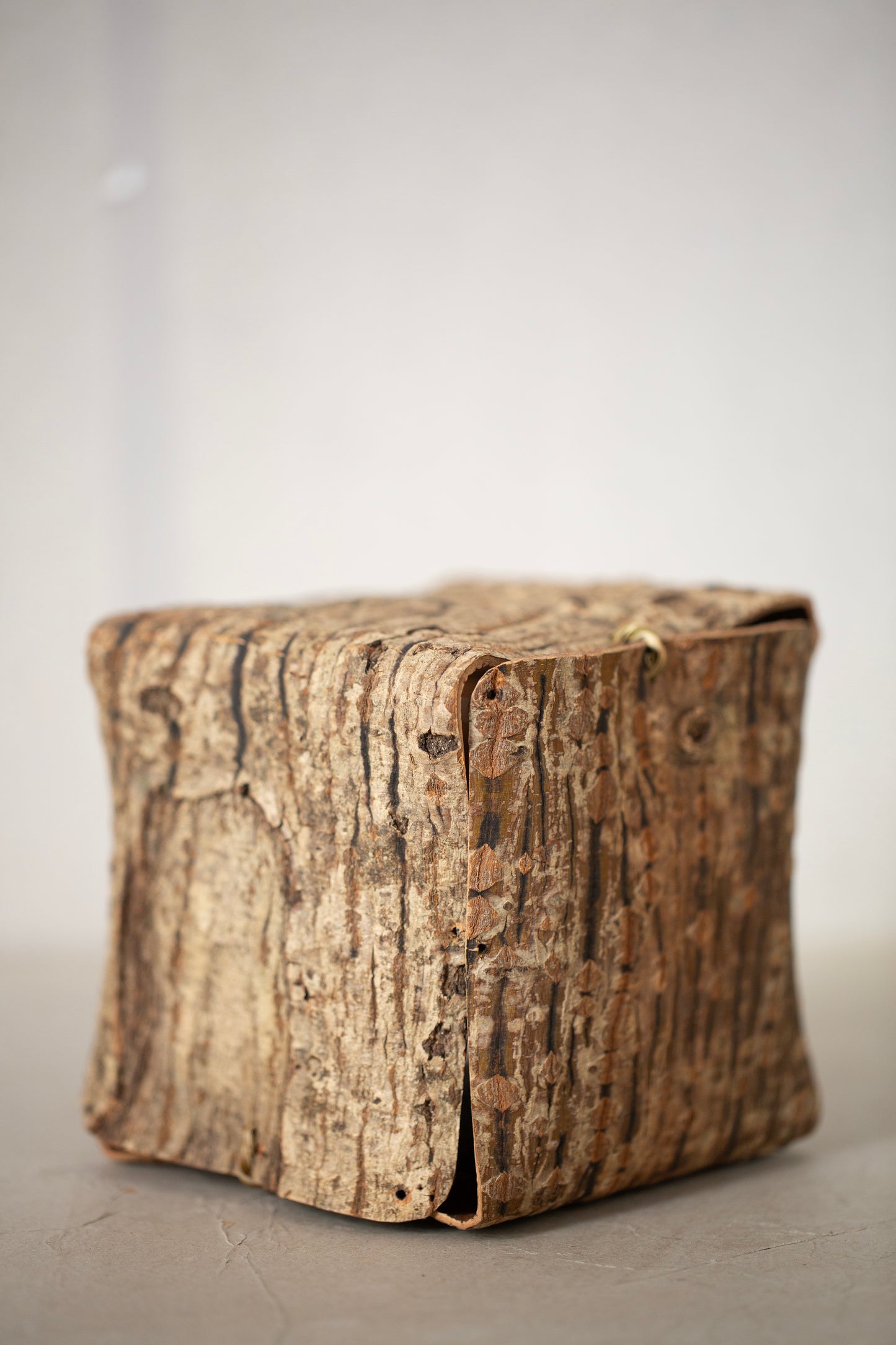 Japanese red vein maple tree bark cube sculpture