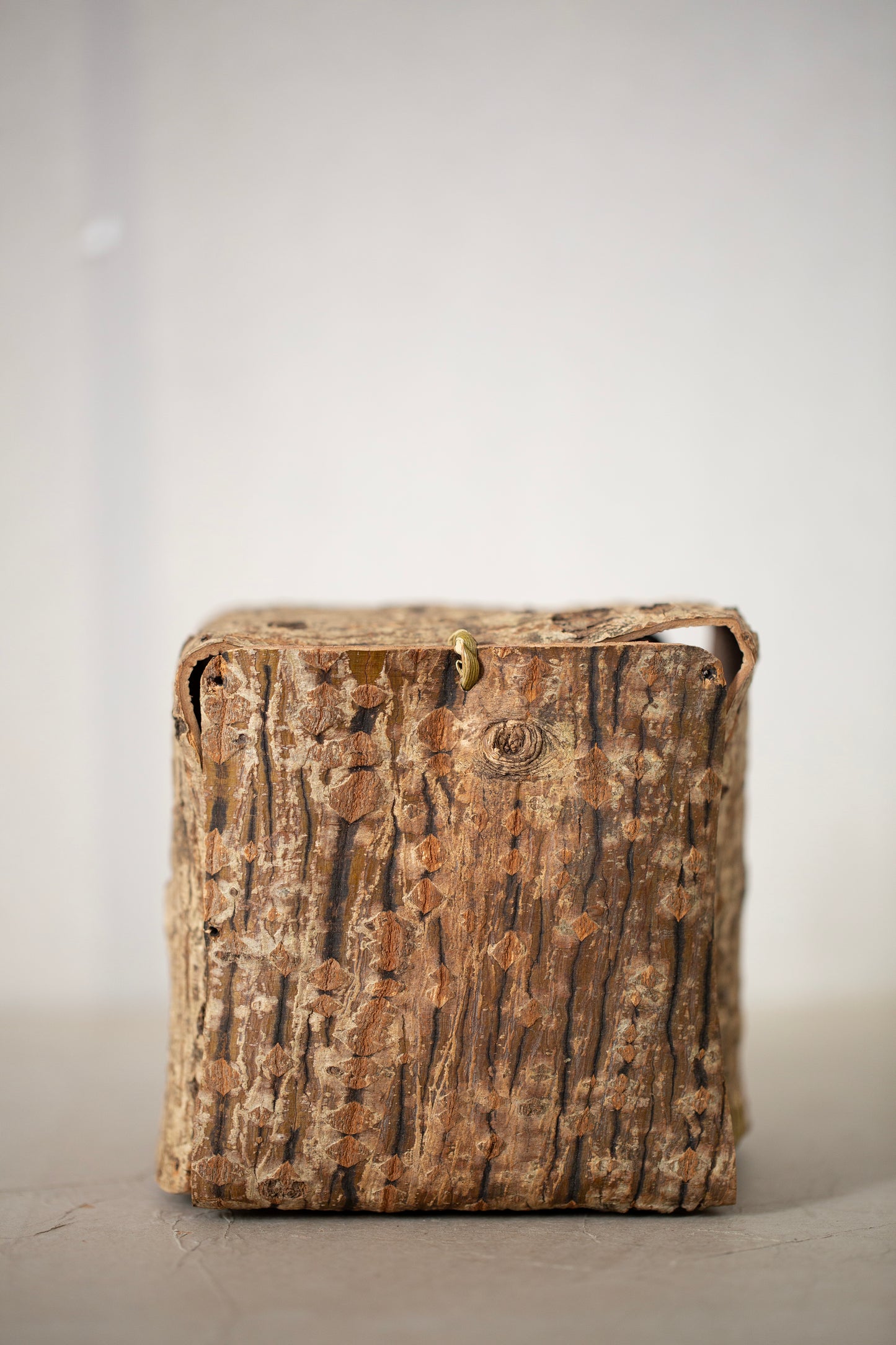 Japanese red vein maple tree bark cube sculpture