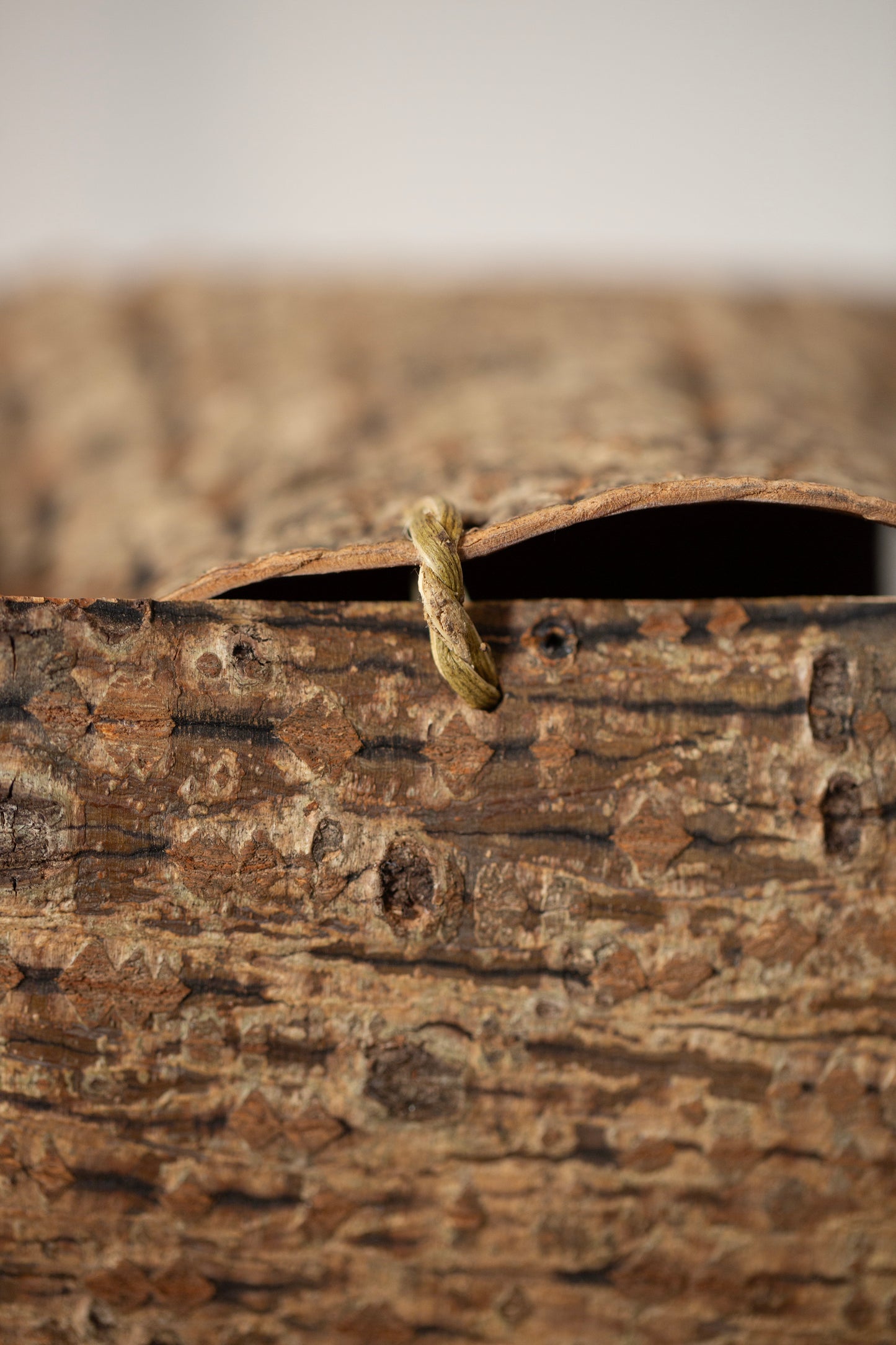 Japanese red vein maple tree bark cube sculpture