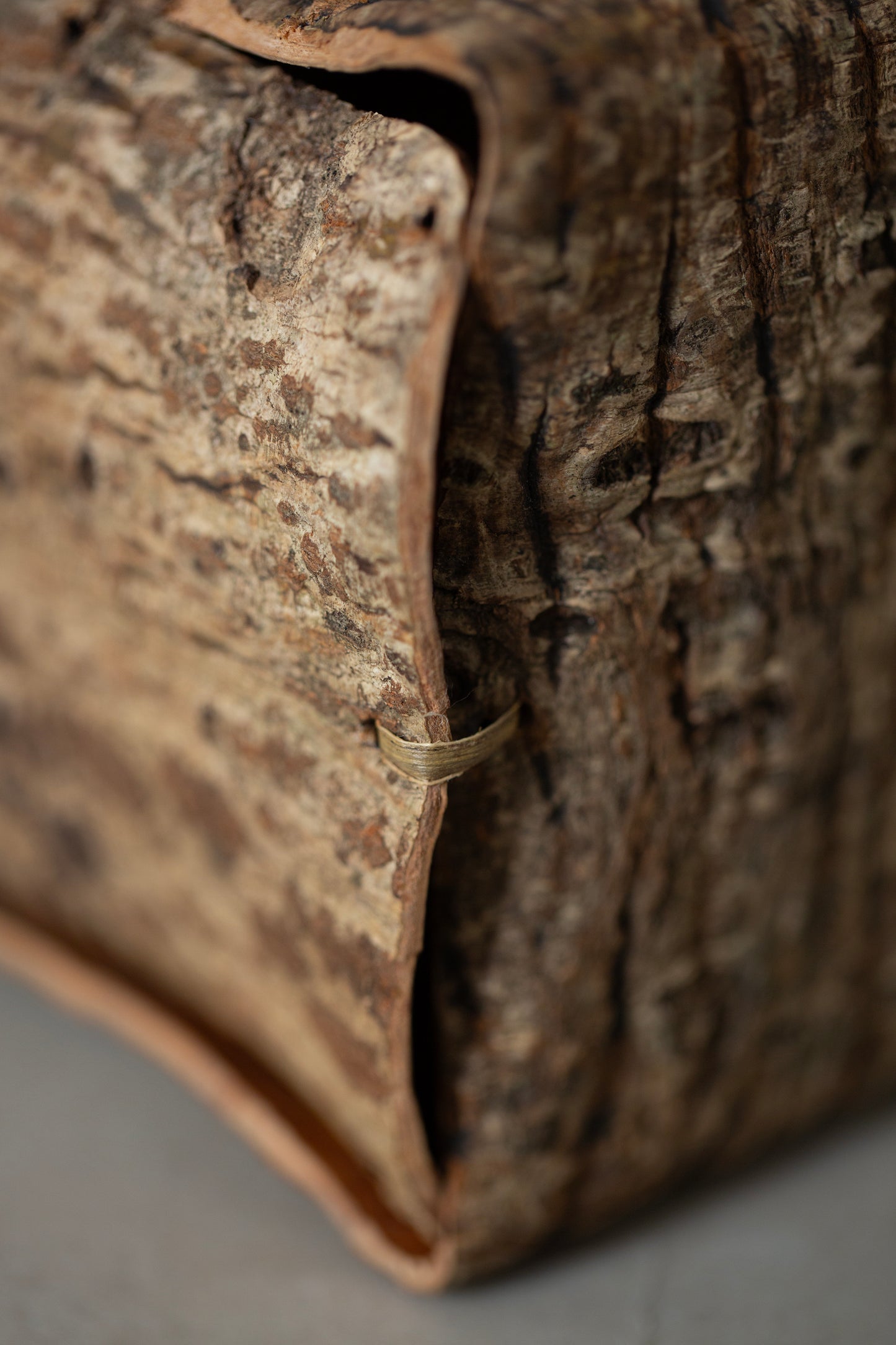 Japanese red vein maple tree bark cube sculpture