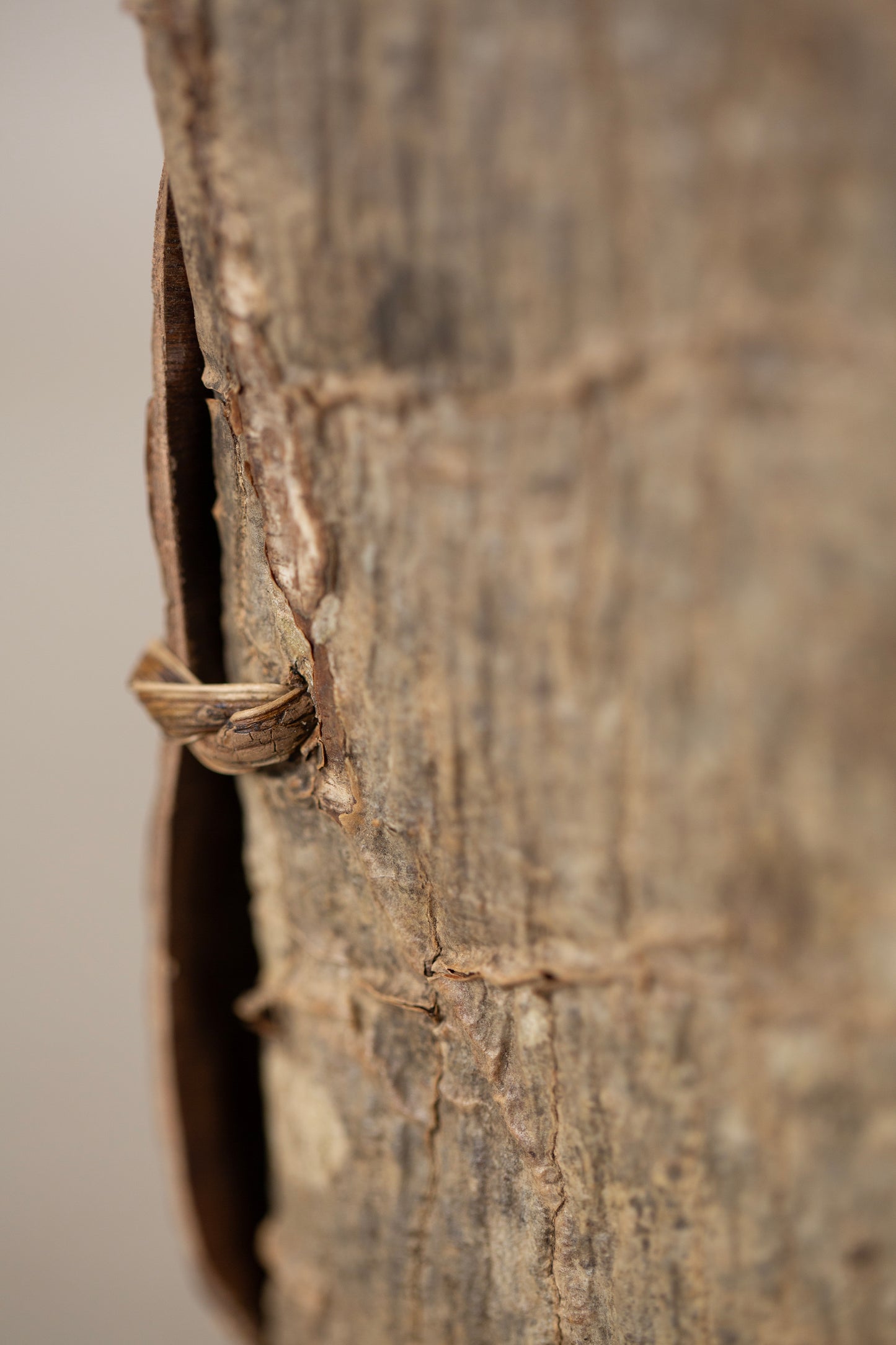 Japanese wallnut bark cube sculpture