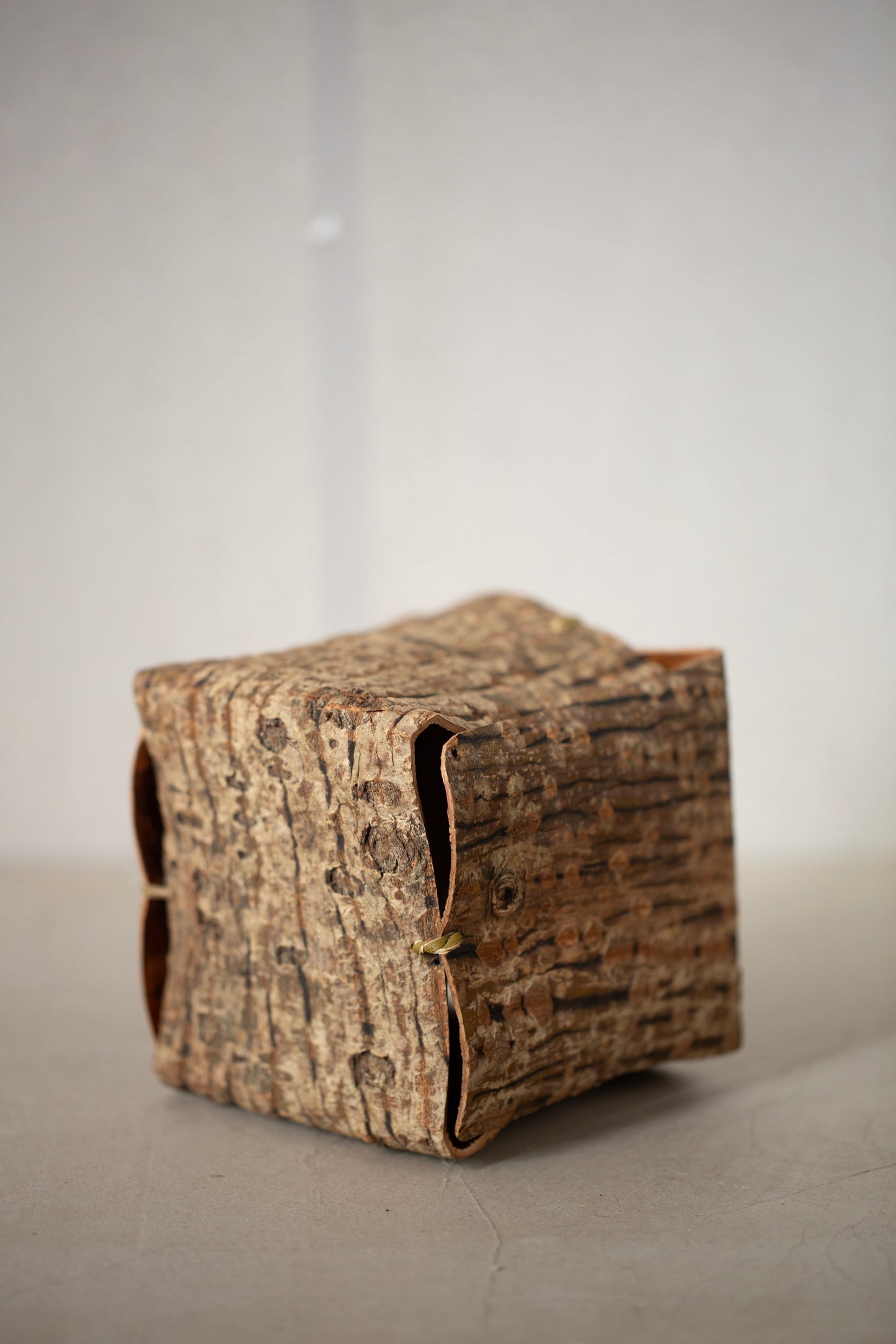 Japanese red vein maple tree bark cube sculpture