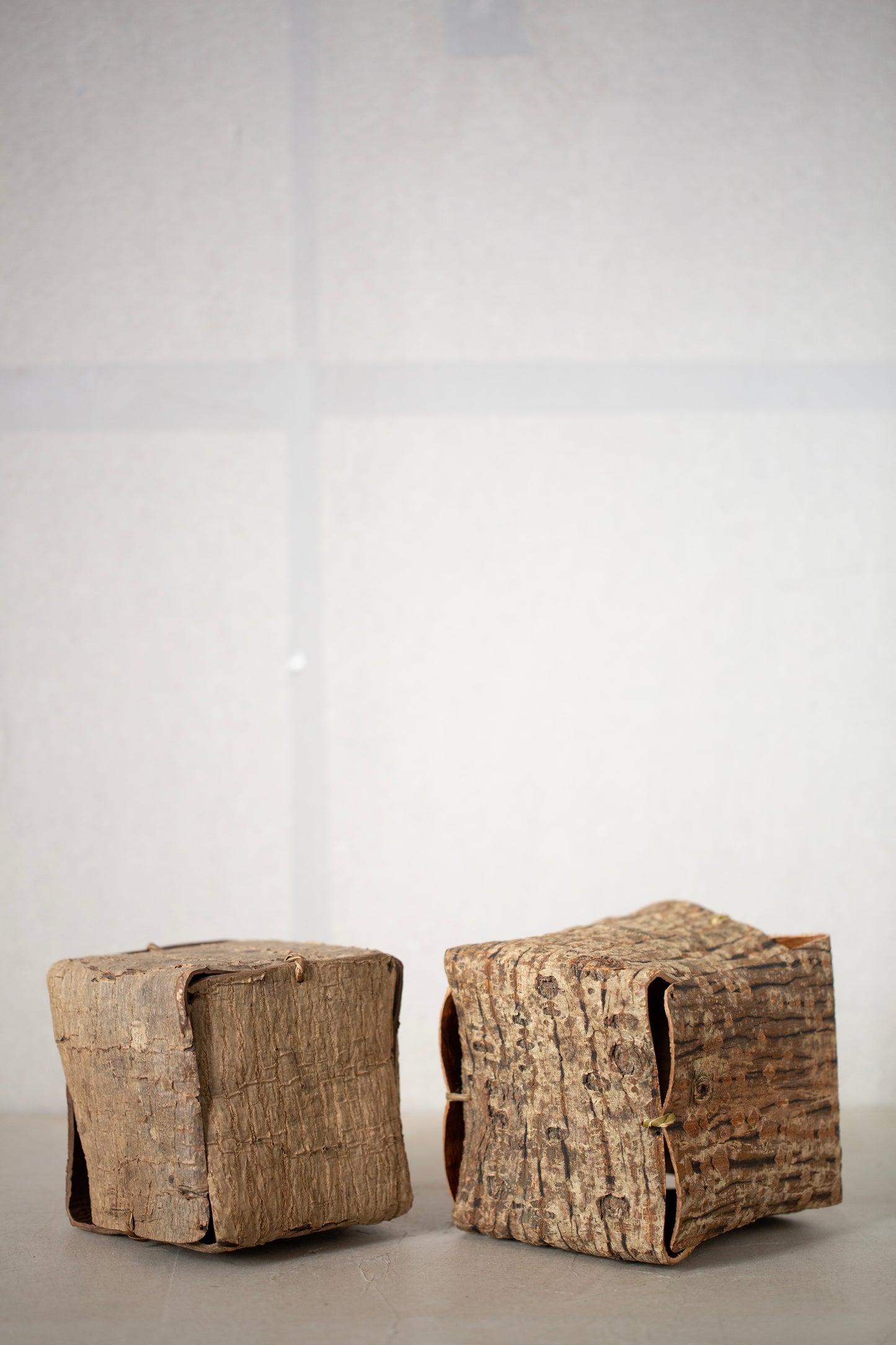 Japanese red vein maple tree bark cube sculpture