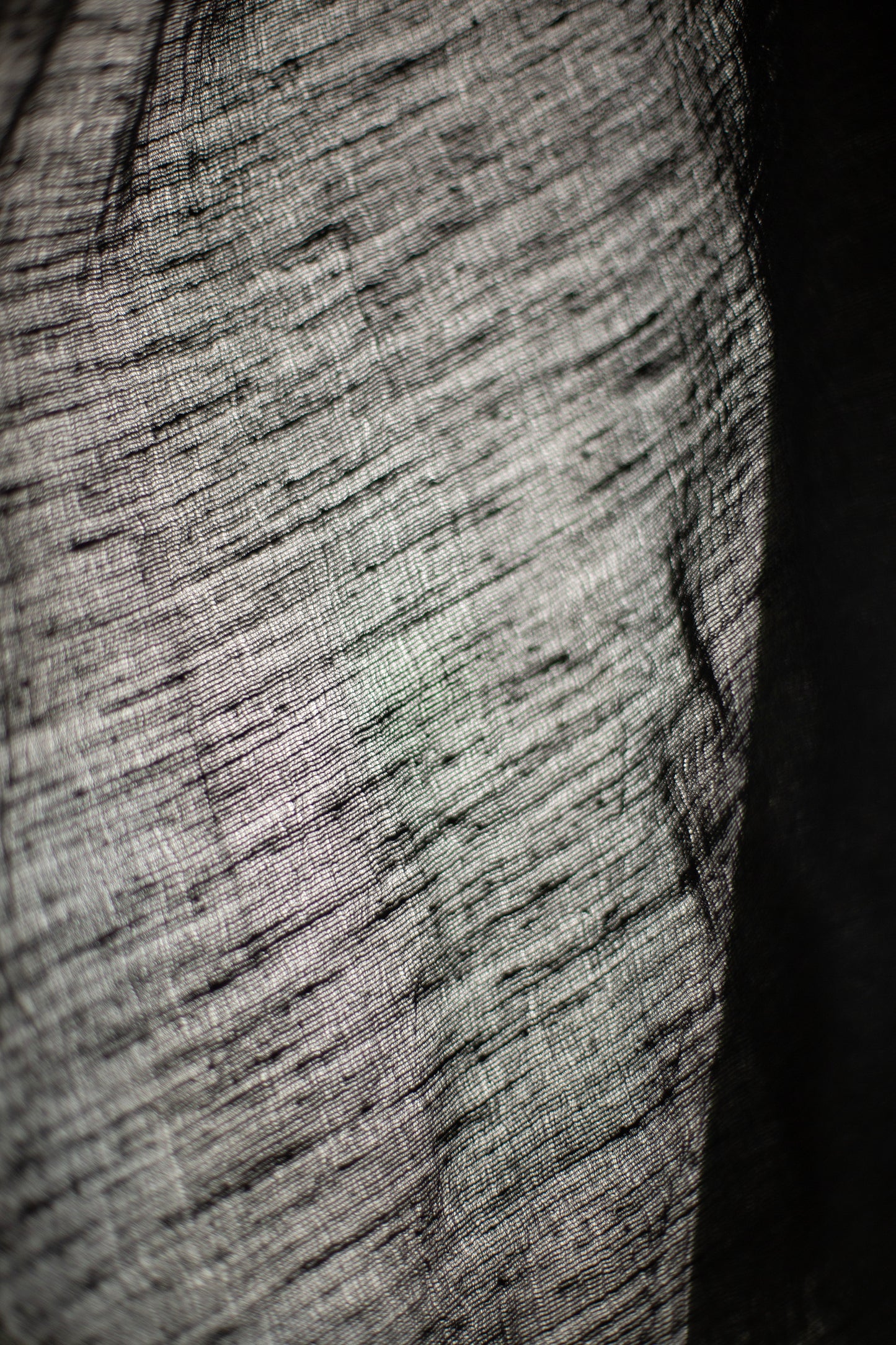 Large Shawl in black Tussar silk
