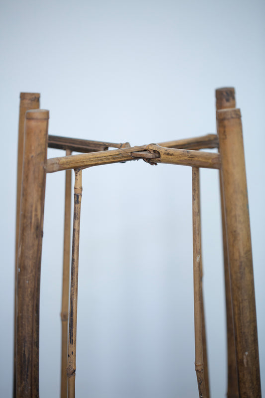 bamboo support