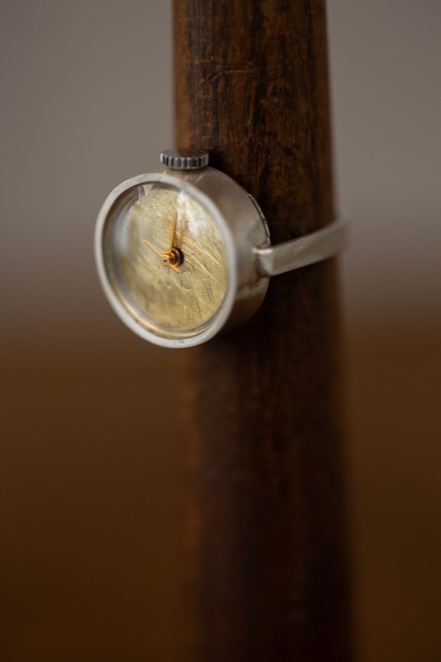 Watch ring