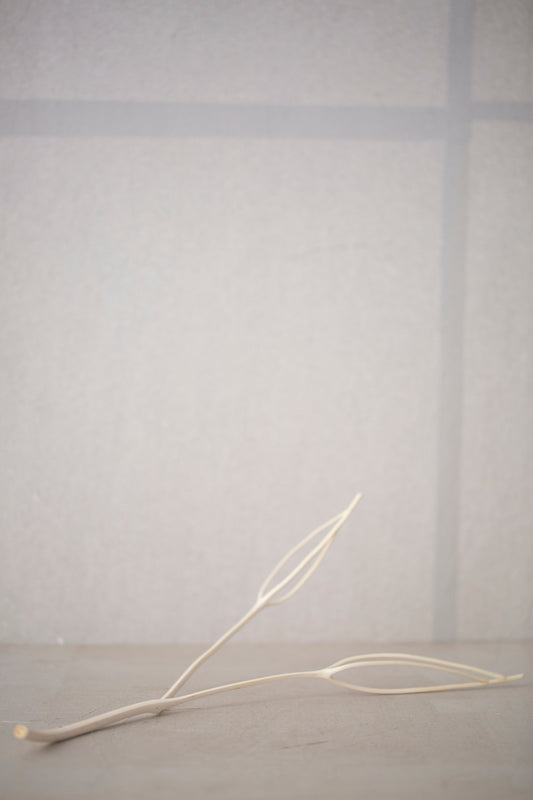 A branch